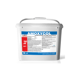 Amoxycol