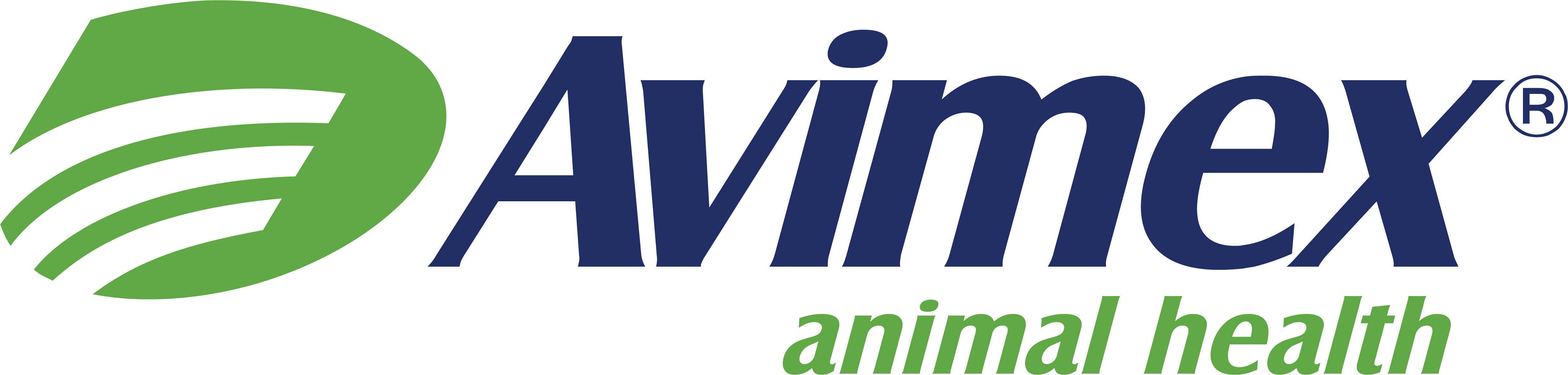 Logo 1
