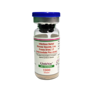 GlobiVac IBD Maxima