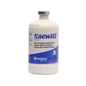 K-newH5