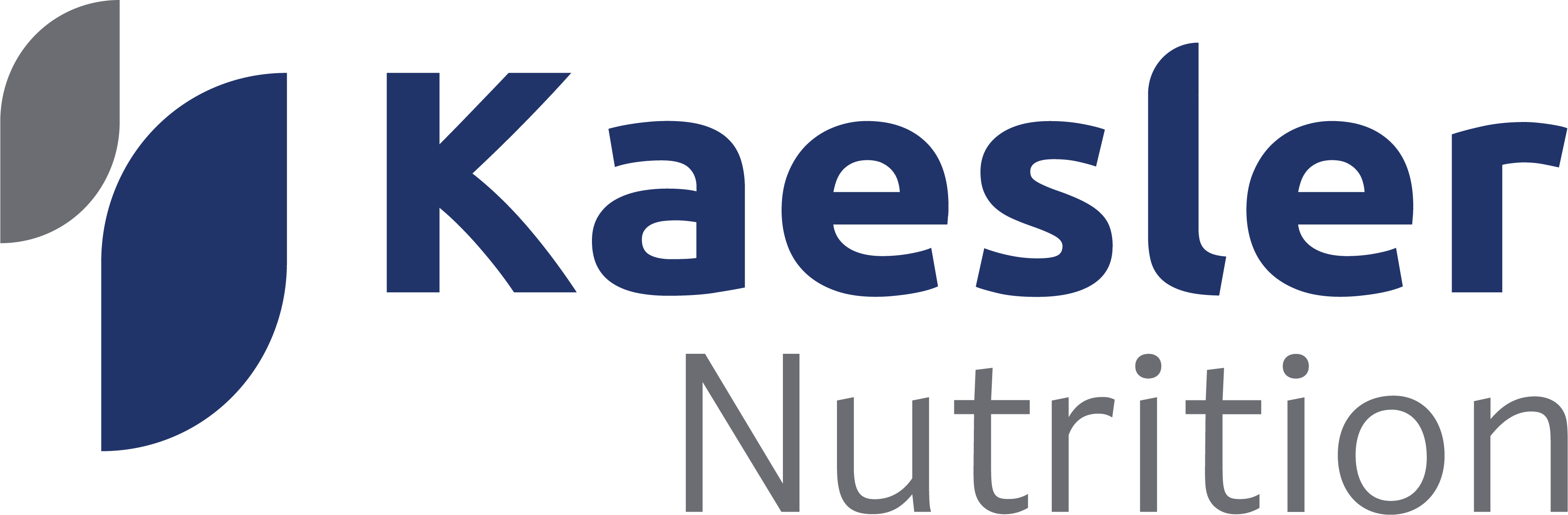 Logo 2