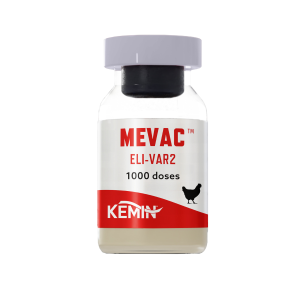Mevac Eli-Var2