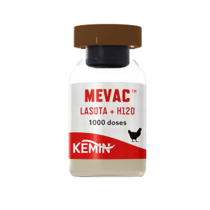 Mevac Lasota+H120