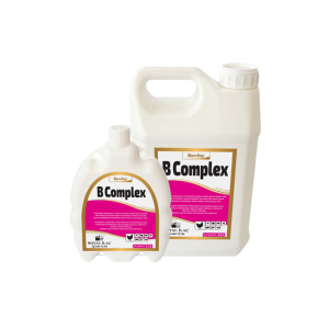 Rovita B Complex