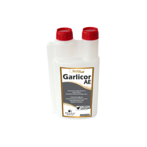 Rovita Garlicor AE