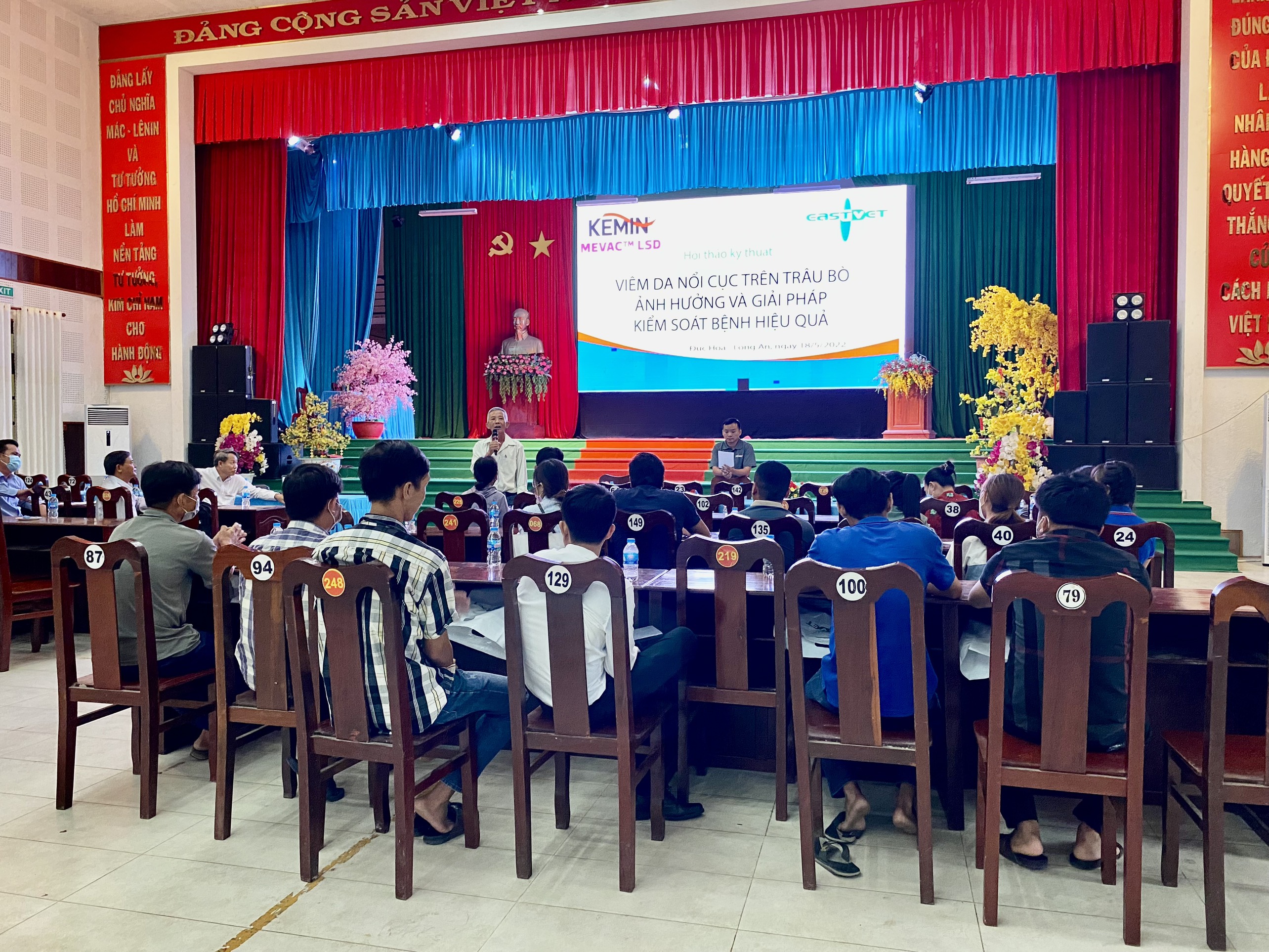Viêm da nổi cục trên trâu bò – Đức Hòa, Long An