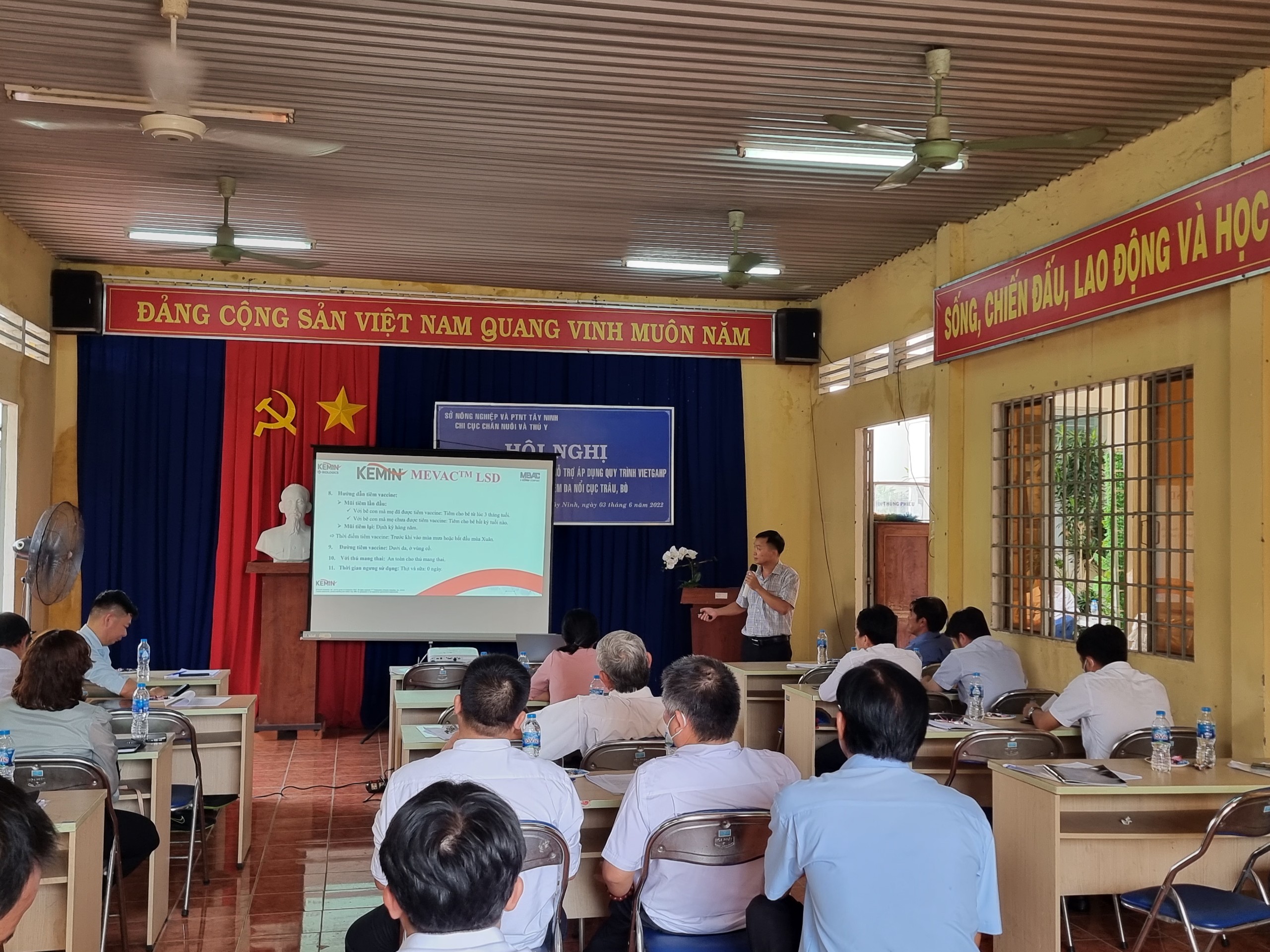 Viêm da nổi cục trên trâu bò – Tây Ninh